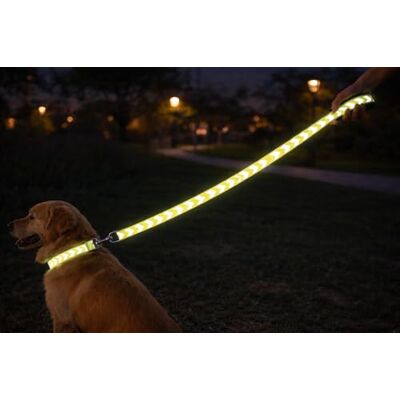 Flamingo Smycz dla psa Fergu Fluo żółta 1,3 m 20 mm Flamingo Smycz dla psa Fergu Fluo żółta 1,3 m 20 mm
