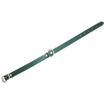 Heim 6000774 skórzana obroża o szerokości 25 mm, długość 60 cm, zielona Heim 6000774 skórzana obroża o szerokości 25 mm, długość 60 cm, zielona