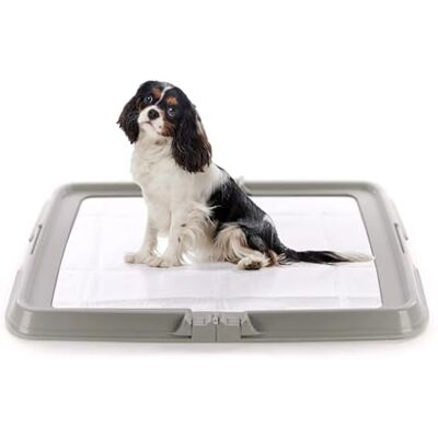 AQPET Friends BauBox składany żwirek dla psa, składany 86 x 62 cm tacka na maty chłodzące, idealna do szkolenia szczeniąt i użytku domowego AQPET Friends BauBox składany żwirek dla psa, składany 86 x 62 cm tacka na maty chłodzące, idealna do szkolenia szczeniąt i użytku domowego