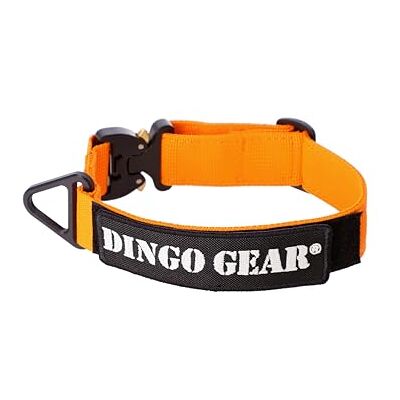 DINGO GEAR WWW.DINGOGEAR.COM 1977 DINGO GEAR Obroża dla psa Cobra z profesjonalną klamrą bezpieczeństwa i etykietą mocowana za pomocą zapięcia przypominającego rzepy, niezawodna obroża do treningu obrony, zadań specjalnych, obwód szyi DINGO GEAR WWW.DINGOGEAR.COM 1977 DINGO GEAR Obroża dla psa Cobra z profesjonalną klamrą bezpieczeństwa i etykietą mocowana za pomocą zapięcia przypominającego rzepy, niezawodna obroża do treningu obrony, zadań specjalnych, obwód szyi