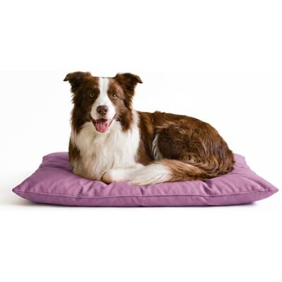 Italian Bed Linen Stripey Finds Dogs Maxy poduszka, 60 x 100 cm, liliowa Italian Bed Linen Stripey Finds Dogs Maxy poduszka, 60 x 100 cm, liliowa