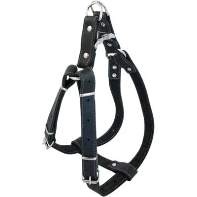 JACK AND VANILLA , Solidna czarna skórzana uprząż dla psa, niestandardowe dopasowanie 25 mm szerokości, regulowana długość 65-90 cm, optymalny komfort i wzmocnione bezpieczeństwo, czarna 25 mm x 65-90 JACK AND VANILLA , Solidna czarna skórzana uprząż dla psa, niestandardowe dopasowanie 25 mm szerokości, regulowana długość 65-90 cm, optymalny komfort i wzmocnione bezpieczeństwo, czarna 25 mm x 65-90