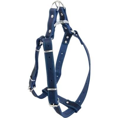 JACK AND VANILLA , Wytrzymała skórzana uprząż dla psa, spersonalizowane dopasowanie 40-60 cm, kolor niebieski, optymalny komfort i ergonomiczna konstrukcja zapewniają przyjemne spacery, model skórzany JACK AND VANILLA , Wytrzymała skórzana uprząż dla psa, spersonalizowane dopasowanie 40-60 cm, kolor niebieski, optymalny komfort i ergonomiczna konstrukcja zapewniają przyjemne spacery, model skórzany