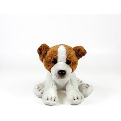 DQB DeQUBE FUNDACJA BOCALAN Pluszowa zabawka Jack Russell Terrier Siedząca 12 cm + 0 miesięcy (DeQube 939D00258) DQB DeQUBE FUNDACJA BOCALAN Pluszowa zabawka Jack Russell Terrier Siedząca 12 cm + 0 miesięcy (DeQube 939D00258)
