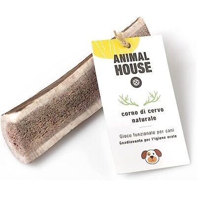Animal House Rogi jelenia dla rozciętych psów 100% naturalne żucie wzmacnia higienę jamy ustnej trwałe i trwałe dostępne we wszystkich rozmiarach (XL) Animal House Rogi jelenia dla rozciętych psów 100% naturalne żucie wzmacnia higienę jamy ustnej trwałe i trwałe dostępne we wszystkich rozmiarach (XL)