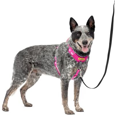 PetSafe Easy Walk Comfort No-Pull Uprząż dla psa na całe ciało lepsze spacery przy pierwszym użyciu 5 punktów regulacji, rozmiar M/L, różowy PetSafe Easy Walk Comfort No-Pull Uprząż dla psa na całe ciało lepsze spacery przy pierwszym użyciu 5 punktów regulacji, rozmiar M/L, różowy