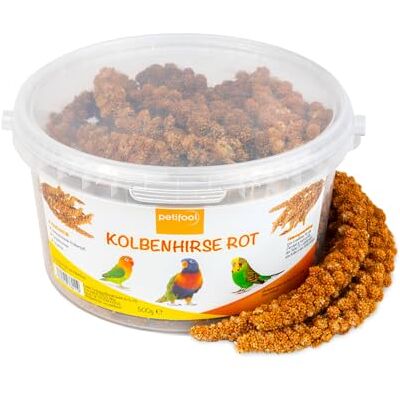 petifool Proso kolby czerwone 500 g – pasza dla wszystkich ptaków ozdobnych – karma dla ptaków – 100% naturalna petifool Proso kolby czerwone 500 g – pasza dla wszystkich ptaków ozdobnych – karma dla ptaków – 100% naturalna