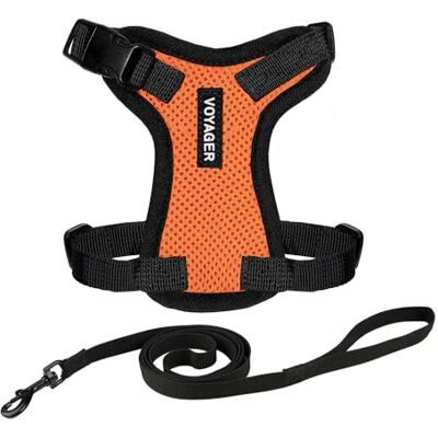 Best Pet Supplies Voyager Step-in Lock regulowana uprząż dla kota w zestawie ze smyczą, z neoprenowym uchwytem, 1,5 m, dla kotów małych, średnich i dużych, , kolor czarny i pomarańczowy, rozmiar XS Best Pet Supplies Voyager Step-in Lock regulowana uprząż dla kota w zestawie ze smyczą, z neoprenowym uchwytem, 1,5 m, dla kotów małych, średnich i dużych, , kolor czarny i pomarańczowy, rozmiar XS