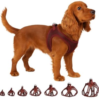 Flamingo Step-Go Bento Szelki – Bakłażan, M (A:30-35 cm, B:41-44 cm, 3 mm), Wygodne i Regulowane, Idealne dla Buldog Francuski, Mops, Shih Tzu, Sznaucer Miniaturowy itp. Flamingo Step-Go Bento Szelki – Bakłażan, M (A:30-35 cm, B:41-44 cm, 3 mm), Wygodne i Regulowane, Idealne dla Buldog Francuski, Mops, Shih Tzu, Sznaucer Miniaturowy itp.