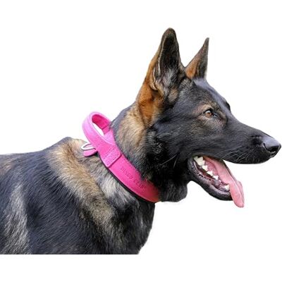 DINGO GEAR WWW.DINGOGEAR.COM 1977 DINGO GEAR Drago skórzana obroża dla psa, amortyzowana, z mocnym szerokim uchwytem, ręcznie robiona, obwód szyi 56-64 cm, do treningu i spacerów, ochrona przed ciągnięciem, miękka wyściółka, różowa DINGO GEAR WWW.DINGOGEAR.COM 1977 DINGO GEAR Drago skórzana obroża dla psa, amortyzowana, z mocnym szerokim uchwytem, ręcznie robiona, obwód szyi 56-64 cm, do treningu i spacerów, ochrona przed ciągnięciem, miękka wyściółka, różowa