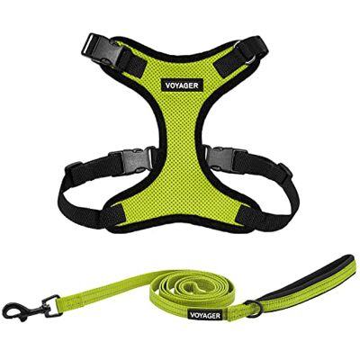 Best Pet Supplies Voyager Step-in Lock Uprząż dla psa, odblaskowa smycz dla psa, zestaw combo z neoprenowym uchwytem, 1,5 m, obsługuje małe, średnie i duże rasy szczeniąt/kotów od limonkowa Best Pet Supplies Voyager Step-in Lock Uprząż dla psa, odblaskowa smycz dla psa, zestaw combo z neoprenowym uchwytem, 1,5 m, obsługuje małe, średnie i duże rasy szczeniąt/kotów od limonkowa