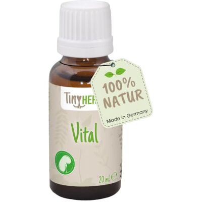 cdVet Produkty naturalne NagerVital 20 ml królik świnka morska wsparcie funkcji wątroby i nerek procesy przemiany materii pozytywny wpływ na skórę i włosy suplement diety - cdVet Produkty naturalne NagerVital 20 ml królik świnka morska wsparcie funkcji wątroby i nerek procesy przemiany materii pozytywny wpływ na skórę i włosy suplement diety -