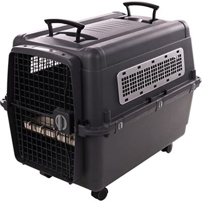 Flamingo Klatka transportowa dla psa Lanta L najwyższa jakość 56 x 80 x 59,5 cm 2 uchwyty ułatwiające przesuwanie zawiera zdejmowaną miskę i napój zapobiegający rozlewaniu Flamingo Klatka transportowa dla psa Lanta L najwyższa jakość 56 x 80 x 59,5 cm 2 uchwyty ułatwiające przesuwanie zawiera zdejmowaną miskę i napój zapobiegający rozlewaniu