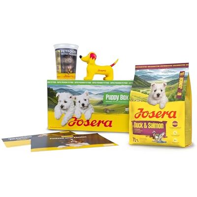 Josera Puppy Box Mini Junior kaczka i łosoś (6-częściowy), sucha karma premium, pakiet powitalny dla szczeniaków małych ras, od 6 tygodnia życia, profilaktyka kamienia nazębnego, 1 opakowanie Josera Puppy Box Mini Junior kaczka i łosoś (6-częściowy), sucha karma premium, pakiet powitalny dla szczeniaków małych ras, od 6 tygodnia życia, profilaktyka kamienia nazębnego, 1 opakowanie