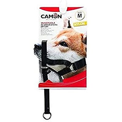 CAMON TG KINTER DO SZKOLENIA L CAMON TG KINTER DO SZKOLENIA L