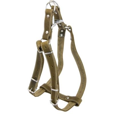 JACK AND VANILLA , Wytrzymała skórzana uprząż dla psa, niestandardowe dopasowanie 40-60 cm, kolor zielony, stylowy i bezpieczny design dla wygodnych i stylowych spacerów, model skórzany JACK AND VANILLA , Wytrzymała skórzana uprząż dla psa, niestandardowe dopasowanie 40-60 cm, kolor zielony, stylowy i bezpieczny design dla wygodnych i stylowych spacerów, model skórzany
