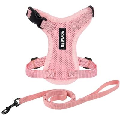 Best Pet Supplies Voyager Step-in Lock regulowana uprząż dla kota w zestawie ze smyczą, z neoprenowym uchwytem, 1,5 m, dla kotów małych, średnich i dużych, , kolor różowy, rozmiar XXXS Best Pet Supplies Voyager Step-in Lock regulowana uprząż dla kota w zestawie ze smyczą, z neoprenowym uchwytem, 1,5 m, dla kotów małych, średnich i dużych, , kolor różowy, rozmiar XXXS