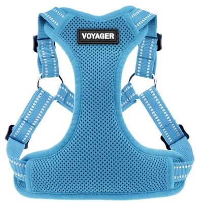 Best Pet Supplies Voyager Step-In Flex uprząż dla psa – siatka na każdą pogodę, regulowana uprząż dla małych i średnich psów od – baza magenta, mała Best Pet Supplies Voyager Step-In Flex uprząż dla psa – siatka na każdą pogodę, regulowana uprząż dla małych i średnich psów od – baza magenta, mała