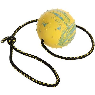 Dingo Waldemar Rutkowski DINGO Nubby piłka dla psa, w pełni wypełniona gumą, z dzwonkiem i linką o długości 60 cm, odpowiednia do uprawiania sportu, zwinności, zabawy, średni rozmiar, losowy kolor (17280-2) Dingo Waldemar Rutkowski DINGO Nubby piłka dla psa, w pełni wypełniona gumą, z dzwonkiem i linką o długości 60 cm, odpowiednia do uprawiania sportu, zwinności, zabawy, średni rozmiar, losowy kolor (17280-2)