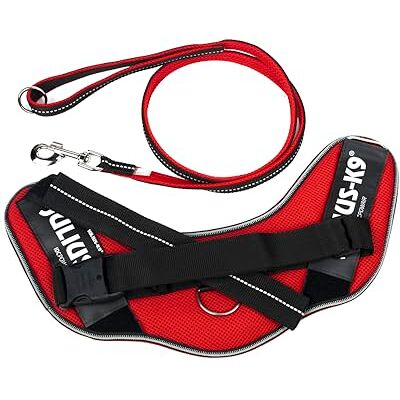 JULIUS K-9 IDC Powair Bundle Uprząż IDC Powair, Rozmiar: XL/2, czerwona + smycz IDC Powair, rozmiar: 1,2 m z uchwytem i dużym karabińczykiem, czerwona JULIUS K-9 IDC Powair Bundle Uprząż IDC Powair, Rozmiar: XL/2, czerwona + smycz IDC Powair, rozmiar: 1,2 m z uchwytem i dużym karabińczykiem, czerwona