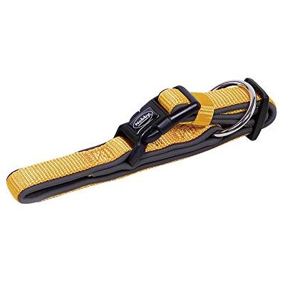 Nobby Klasyczna obroża dla psa Preno, 30-45 cm/20-25 mm, pomarańczowa/szara Nobby Klasyczna obroża dla psa Preno, 30-45 cm/20-25 mm, pomarańczowa/szara