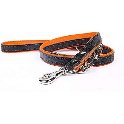 Capadi K0186 regulowana smycz dla psa z prawdziwej wytrzymałej skóry z podszewką z mocnego nylonu, pomarańczowa, szerokość 12 mm, długość 220 cm Capadi K0186 regulowana smycz dla psa z prawdziwej wytrzymałej skóry z podszewką z mocnego nylonu, pomarańczowa, szerokość 12 mm, długość 220 cm