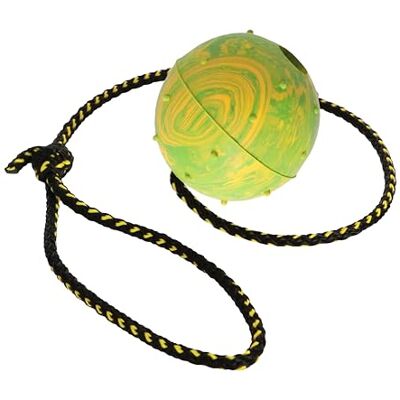 Dingo Waldemar Rutkowski DINGO Nubby piłka dla psa, w pełni wypełniona gumą, z linką o długości 60 cm, odpowiednia do uprawiania sportu, zwinności, zabawy, mały rozmiar, losowy kolor (17320-2) Dingo Waldemar Rutkowski DINGO Nubby piłka dla psa, w pełni wypełniona gumą, z linką o długości 60 cm, odpowiednia do uprawiania sportu, zwinności, zabawy, mały rozmiar, losowy kolor (17320-2)