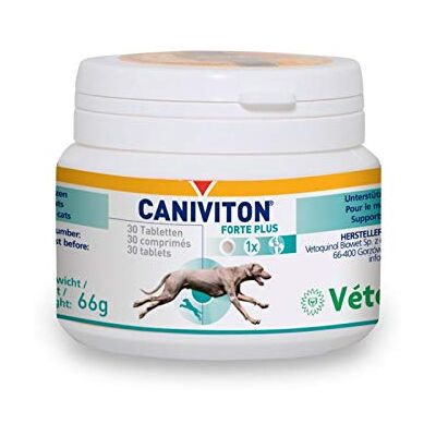 Caniviton Vetoquinol Forte Plus karma uzupełniająca dla psów i kotów, 30 tabletek, 1 opakowanie (1 x 0,09 kilogramów) Caniviton Vetoquinol Forte Plus karma uzupełniająca dla psów i kotów, 30 tabletek, 1 opakowanie (1 x 0,09 kilogramów)