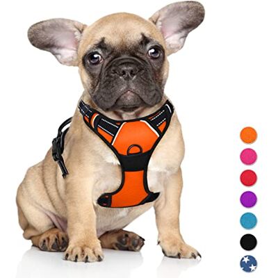 BARKBAY Bez ciągnięcia uprząż dla psa duży krok w odblaskowej uprzęży dla psa z przednim klipsem i łatwym w obsłudze uchwytem do chodzenia treningu biegania (pomarańczowy,S) BARKBAY Bez ciągnięcia uprząż dla psa duży krok w odblaskowej uprzęży dla psa z przednim klipsem i łatwym w obsłudze uchwytem do chodzenia treningu biegania (pomarańczowy,S)