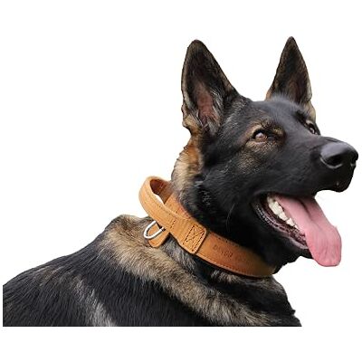 DINGO GEAR WWW.DINGOGEAR.COM 1977 DINGO GEAR Drago skórzana obroża dla psa, amortyzowana, z mocnym szerokim uchwytem, ręcznie robiona, obwód szyi 40-48 cm, do treningu i spacerów, ochrona przed ciągnięciem, miękka wyściółka, brązowa DINGO GEAR WWW.DINGOGEAR.COM 1977 DINGO GEAR Drago skórzana obroża dla psa, amortyzowana, z mocnym szerokim uchwytem, ręcznie robiona, obwód szyi 40-48 cm, do treningu i spacerów, ochrona przed ciągnięciem, miękka wyściółka, brązowa
