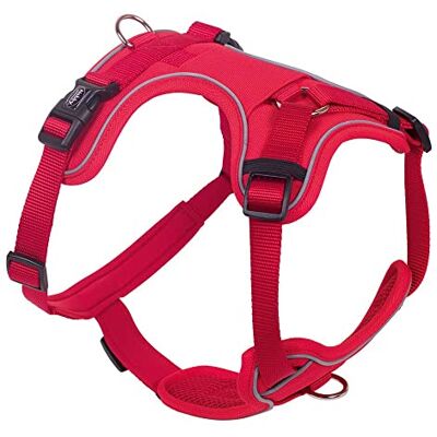 Nobby Komfortowe naczynia MAILO, czerwone, XS: klatka piersiowa: 20-30 cm, brzuch: 35-45 cm, szer.: 15 mm, 1 sztuka Nobby Komfortowe naczynia MAILO, czerwone, XS: klatka piersiowa: 20-30 cm, brzuch: 35-45 cm, szer.: 15 mm, 1 sztuka