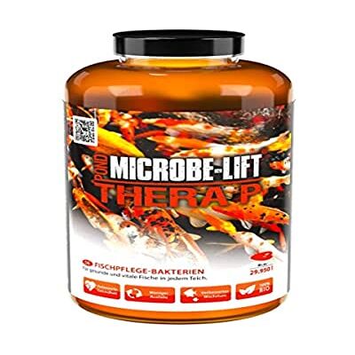 ARKA MICROBE-LIFT Pond TheraP Bakterie dla zdrowych i witalnych zwierząt, pielęgnacja ryb, wspomagają wzrost, (946 ml) ARKA MICROBE-LIFT Pond TheraP Bakterie dla zdrowych i witalnych zwierząt, pielęgnacja ryb, wspomagają wzrost, (946 ml)