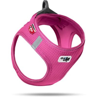 Curli Vest Harness D-Ring Buckle Fuchsia 3XS Curli Vest Harness D-Ring Buckle Fuchsia 3XS