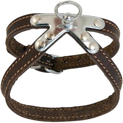 JACK AND VANILLA , Brązowa gruba skórzana uprząż dla psa, ergonomiczna konstrukcja, regulowana, trwała i łatwa w pielęgnacji, szerokość 10 mm x 30 cm długości, kolor brązowy, model skórzany JACK AND VANILLA , Brązowa gruba skórzana uprząż dla psa, ergonomiczna konstrukcja, regulowana, trwała i łatwa w pielęgnacji, szerokość 10 mm x 30 cm długości, kolor brązowy, model skórzany