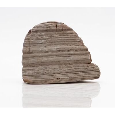 Amtra Rock Thousand Layer naturalna dekoracja akwarium Wild, wapień, idealna do ogrodu Zen, 0,6-2 kg Amtra Rock Thousand Layer naturalna dekoracja akwarium Wild, wapień, idealna do ogrodu Zen, 0,6-2 kg