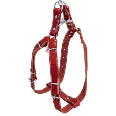 JACK AND VANILLA , Wytrzymała skórzana uprząż dla psa, regulowana od 65 do 90 cm, szerokość 25 mm, elegancki design i optymalne bezpieczeństwo podczas spacerów, model skórzany JACK AND VANILLA , Wytrzymała skórzana uprząż dla psa, regulowana od 65 do 90 cm, szerokość 25 mm, elegancki design i optymalne bezpieczeństwo podczas spacerów, model skórzany