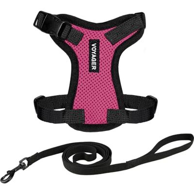 Best Pet Supplies Voyager Step-in Lock uprząż dla zwierząt domowych – siatka na każdą pogodę, regulowane szelki dla kotów i psów, fuksja, XXXS (klatka piersiowa: 23-33 cm, pasuje do kotów) Best Pet Supplies Voyager Step-in Lock uprząż dla zwierząt domowych – siatka na każdą pogodę, regulowane szelki dla kotów i psów, fuksja, XXXS (klatka piersiowa: 23-33 cm, pasuje do kotów)