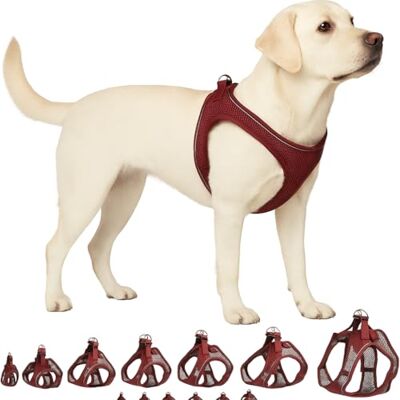 Flamingo Step-Go Bento Szelki – Bakłażan, XL (A:40-43 cm, B:49-54 cm, 3 mm), Wygodne i Regulowane, Idealne dla Owczarek Australijski, Springer Spaniel, Staffordshire Bull Terrier itp. Flamingo Step-Go Bento Szelki – Bakłażan, XL (A:40-43 cm, B:49-54 cm, 3 mm), Wygodne i Regulowane, Idealne dla Owczarek Australijski, Springer Spaniel, Staffordshire Bull Terrier itp.