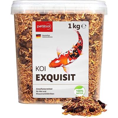 petifool Koi Exquisit Karma dla Żółwi Wodnych i Ryb, Jedwabniki/Krewetki/Gammarus, 1 kg petifool Koi Exquisit Karma dla Żółwi Wodnych i Ryb, Jedwabniki/Krewetki/Gammarus, 1 kg