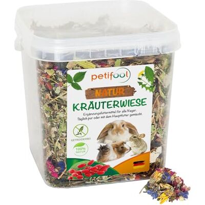 petifool Karma uzupełniająca dla gryzoni, naturalna i zdrowa karma dla królików, 1 opakowanie (1 x 380 g) petifool Karma uzupełniająca dla gryzoni, naturalna i zdrowa karma dla królików, 1 opakowanie (1 x 380 g)