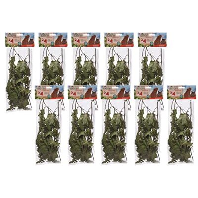 Dehner Best Nature przekąska dla gryzoni, gałązka orzecha laskowego, 10 x 25 g (250 g) Dehner Best Nature przekąska dla gryzoni, gałązka orzecha laskowego, 10 x 25 g (250 g)
