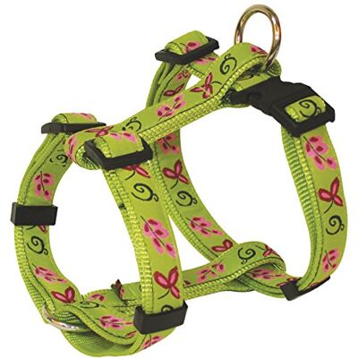 Arquivet 1827 Petral Spring 45-60 cm/25 mm Arquivet 1827 Petral Spring 45-60 cm/25 mm