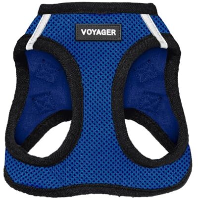 Best Pet Supplies Voyager Step-in Air Uprząż dla psa z siatki na każdą pogodę, odblaskowa, dla małych, średnich psów, z klamrą i podwójnymi pierścieniami w kształcie litery D, królewski błękit/czarna, rozmiar XS Best Pet Supplies Voyager Step-in Air Uprząż dla psa z siatki na każdą pogodę, odblaskowa, dla małych, średnich psów, z klamrą i podwójnymi pierścieniami w kształcie litery D, królewski błękit/czarna, rozmiar XS