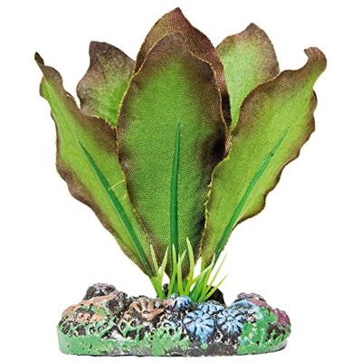 ICA AP1102 Anubias de Aquatic rośliny jedwab ICA AP1102 Anubias de Aquatic rośliny jedwab