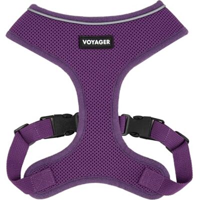 Best Pet Supplies Voyager Aerolite uprząż dla psa bez ciągnięcia, z lekką, miękką, oddychającą, odblaskowymi szwami i regulowanymi paskami do chodzenia, biegania, treningu, wytrzymała i trwała, fioletowa, M Best Pet Supplies Voyager Aerolite uprząż dla psa bez ciągnięcia, z lekką, miękką, oddychającą, odblaskowymi szwami i regulowanymi paskami do chodzenia, biegania, treningu, wytrzymała i trwała, fioletowa, M
