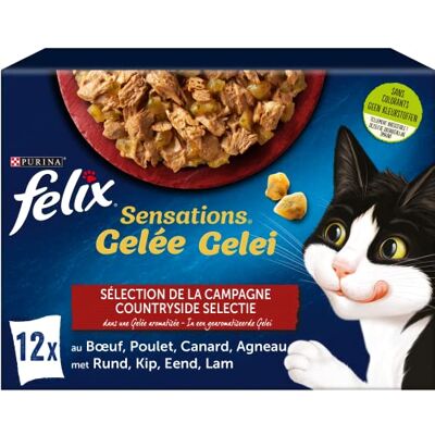 Felix Jelly Sensations Dorosły kot Wybór wołowiny, kurczaka, kaczki, jagnięciny Zestaw 12 x 85 g Świeża saszetka Felix Jelly Sensations Dorosły kot Wybór wołowiny, kurczaka, kaczki, jagnięciny Zestaw 12 x 85 g Świeża saszetka