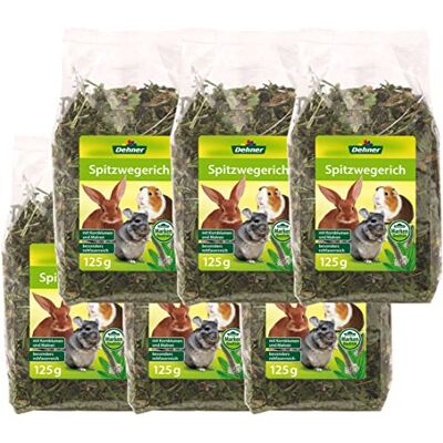 Dehner Przekąska dla gryzoni, błonnik surowy, dla królików karłowatych, 6 x 125 g (750 g) Dehner Przekąska dla gryzoni, błonnik surowy, dla królików karłowatych, 6 x 125 g (750 g)