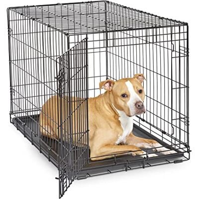 New World Single Door Folding Metal 36-Inch Dog Crate, Enhanced Security, Includes Leak-Proof Pan & Divider Panel, For Medium to Large Sized Breeds New World Single Door Folding Metal 36-Inch Dog Crate, Enhanced Security, Includes Leak-Proof Pan & Divider Panel, For Medium to Large Sized Breeds