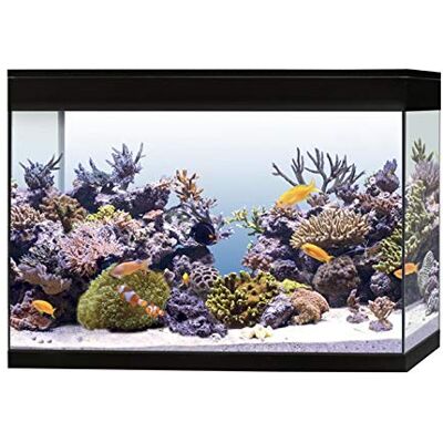 Askoll Aa350078 akwarium Pure Marine High Cube Morskie Kompletny Akcesorium, XXL, czarny Askoll Aa350078 akwarium Pure Marine High Cube Morskie Kompletny Akcesorium, XXL, czarny