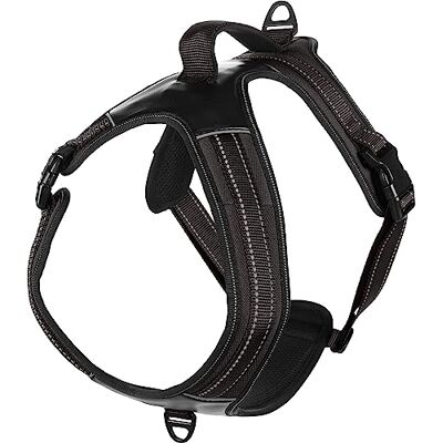Flamingo Uprząż Toga czarna L 76-105CM Flamingo Uprząż Toga czarna L 76-105CM